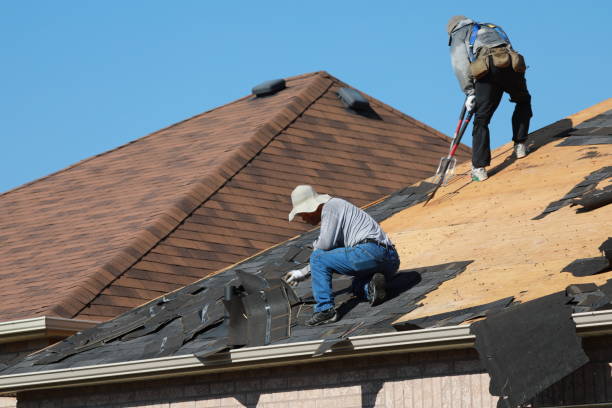 Best Chimney Flashing Repair  in Zellwood, FL