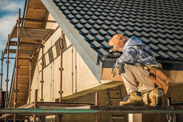 Best Roof Insulation Installation  in Zellwood, FL