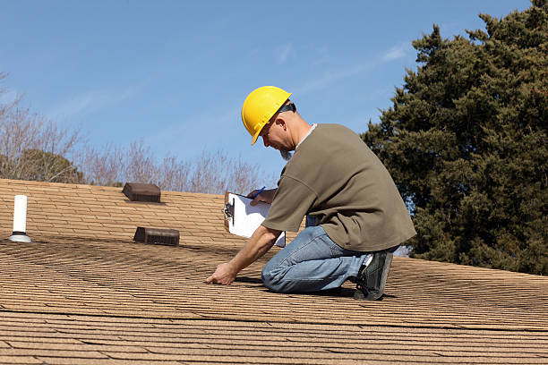 Best Gutter Installation and Repair  in Zellwood, FL