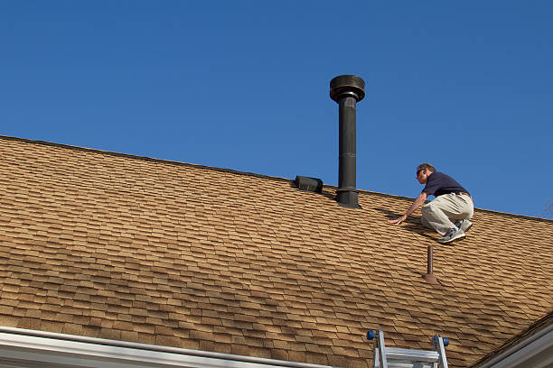 Best Roof Maintenance and Cleaning  in Zellwood, FL